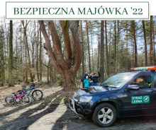 Bezpieczna majówka w lesie