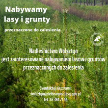 NADLEŚNICTWO WOLSZTYN NABYWA LASY I GRUNTY DO ZALESIENIA
