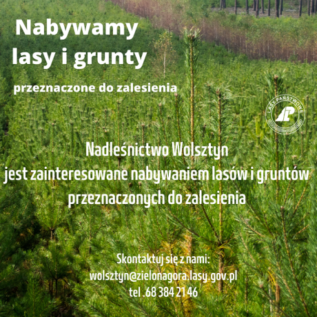 NADLEŚNICTWO WOLSZTYN NABYWA LASY I GRUNTY DO ZALESIENIA