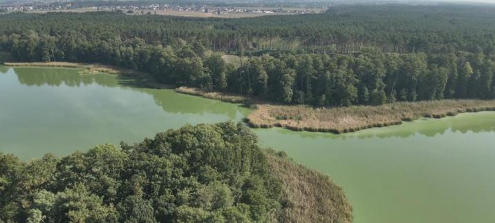 Las z lotu ptaka fot. Mariusz Merda